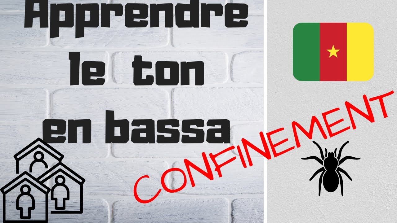 APPRENDRE le BASSA pendant LE CONFINEMENT ?