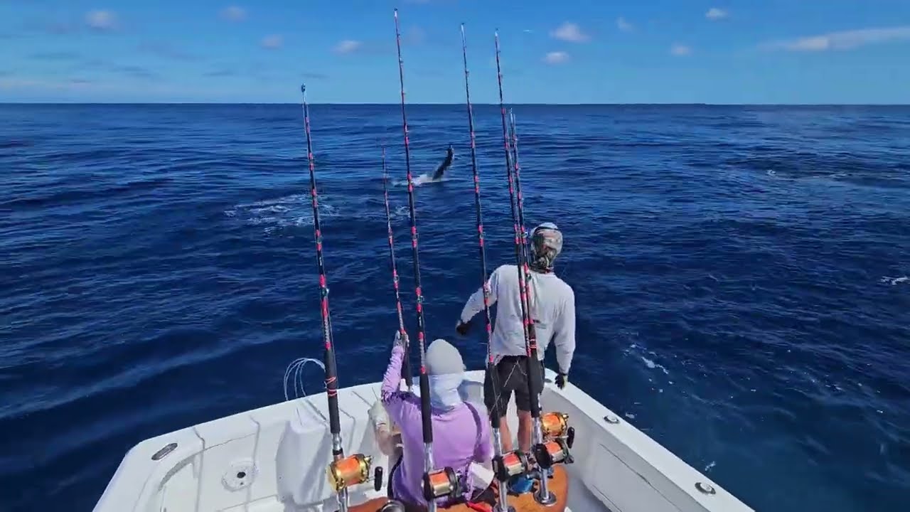 Straight Up Sportfishing - Costa Rica (Tammy's Sailfish #2)