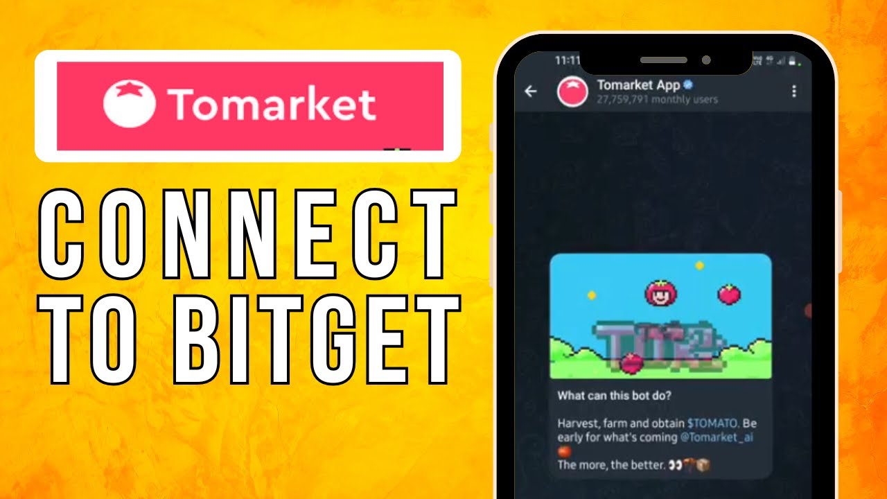 How To Connect Tomarket App To Bidget Wallet (2024) Quick and Easy