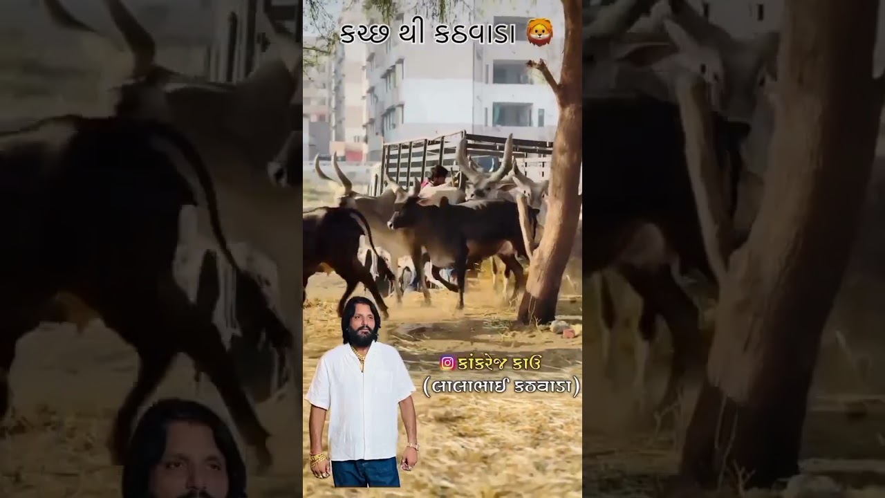 [Kachchh to kadvada]