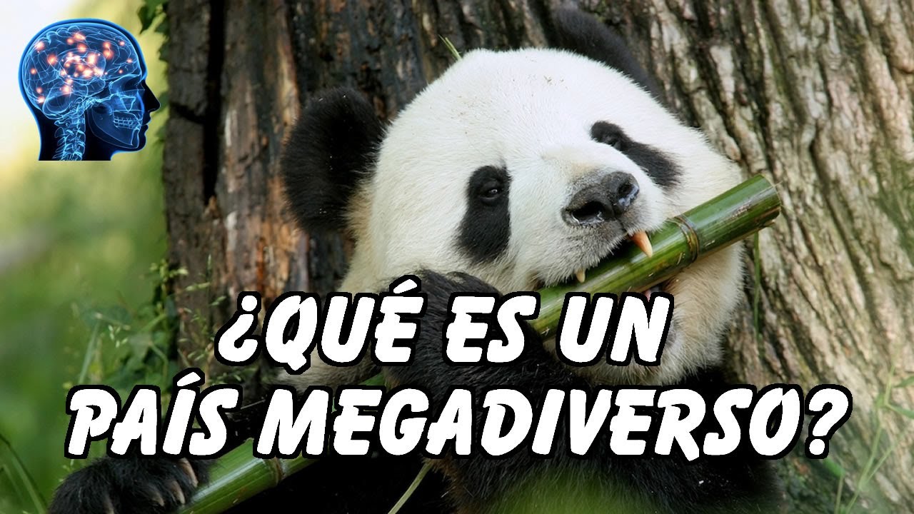 &iquest;QU&Eacute; ES UN PA&Iacute;S MEGADIVERSO?