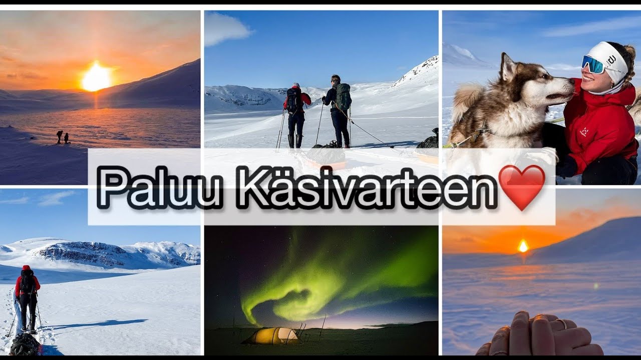 Paluu Käsivarteen ja yllätyskosinta!
