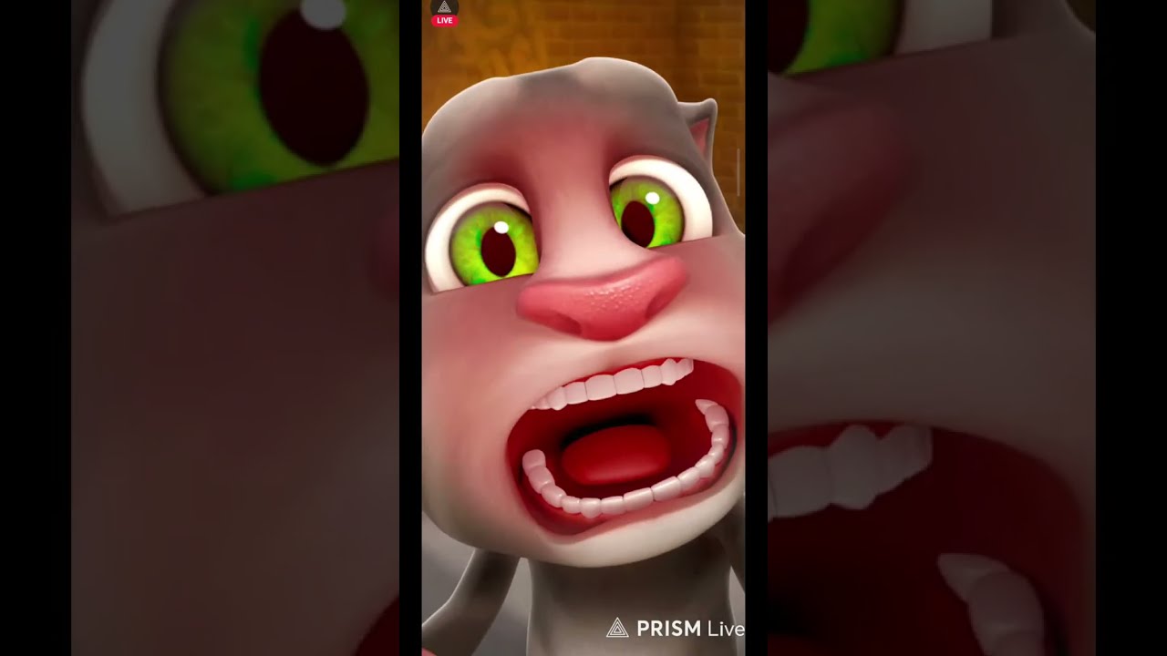 talking tom game