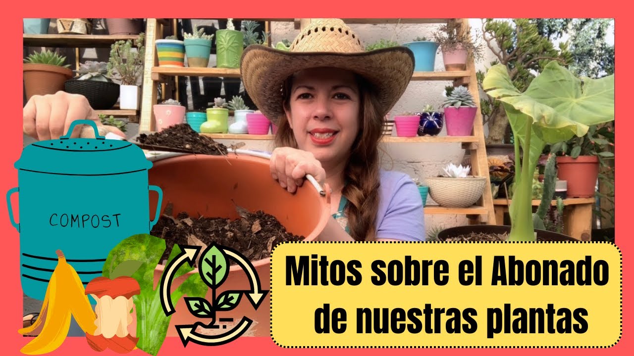 Mitos comunes sobre el abonado, si los haces lo estás haciendo mal 😱