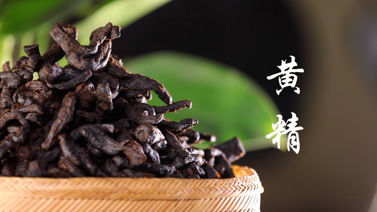中国传统中药材：黄精 （Traditional Chinese herbal medicines：Polygonatum sibiricum Red）