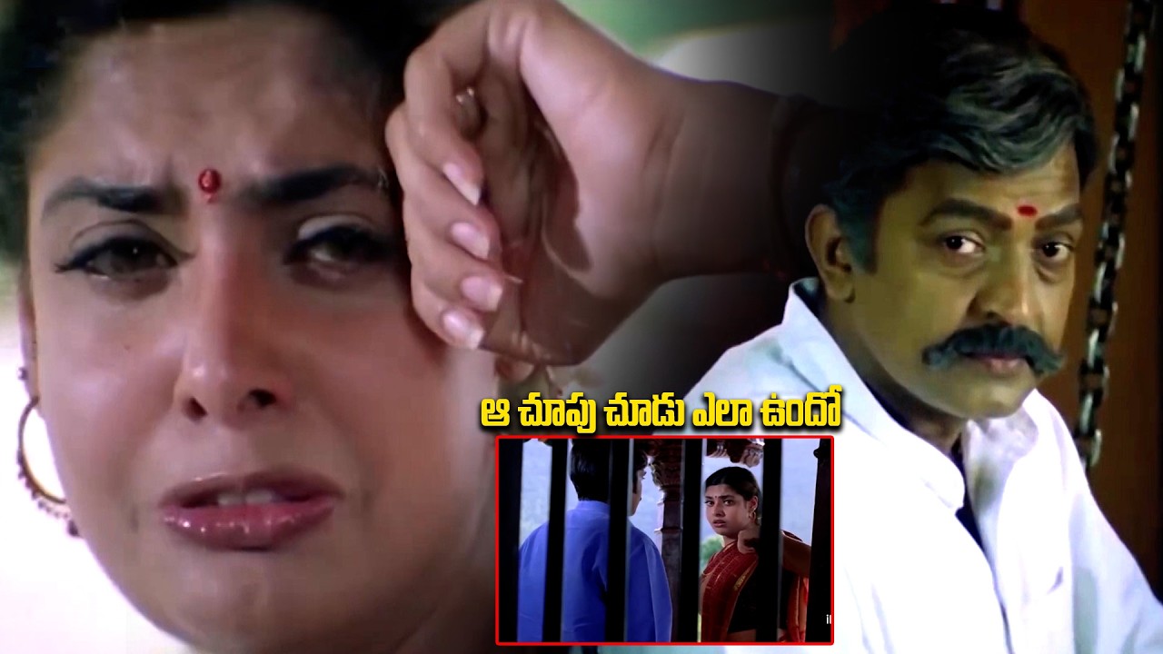 ఆ చూపు చూడు ఎలా ఉందో Family Entertainment Movie in Maa Annayya Telugu Movie | Rajashekar ,Meena