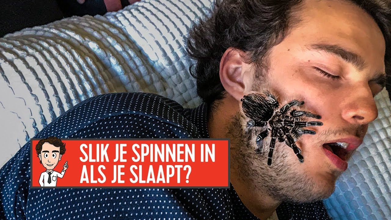KRUIPEN SPINNEN IN JE MOND ALS JE SLAAPT? // Joost Mag Het Weten
