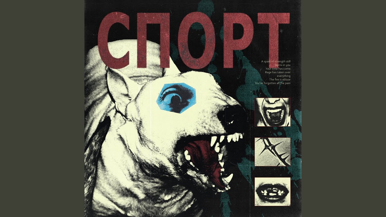 Спорт