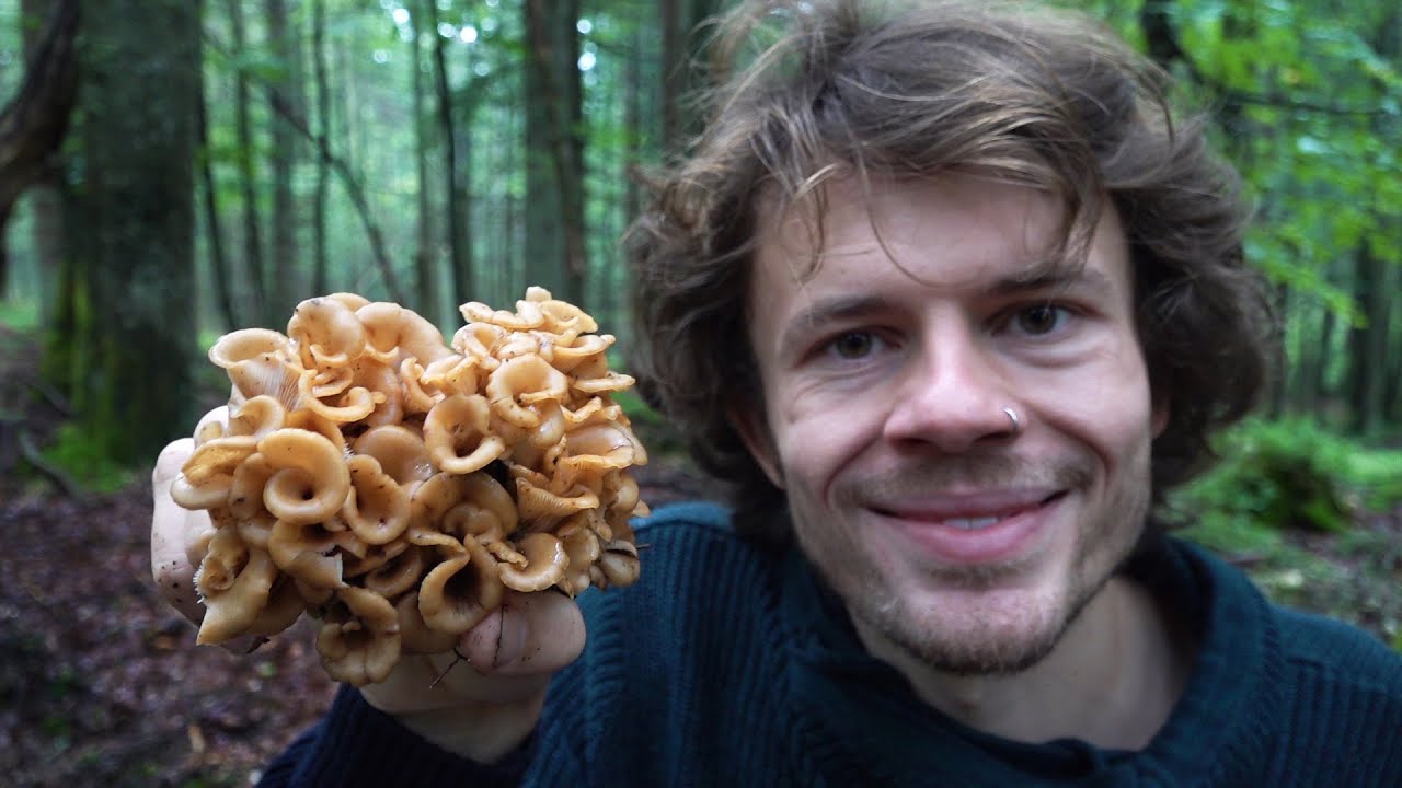 Fröhliche Pilzzeit - Pilze Sammeln zum Herbstanfang