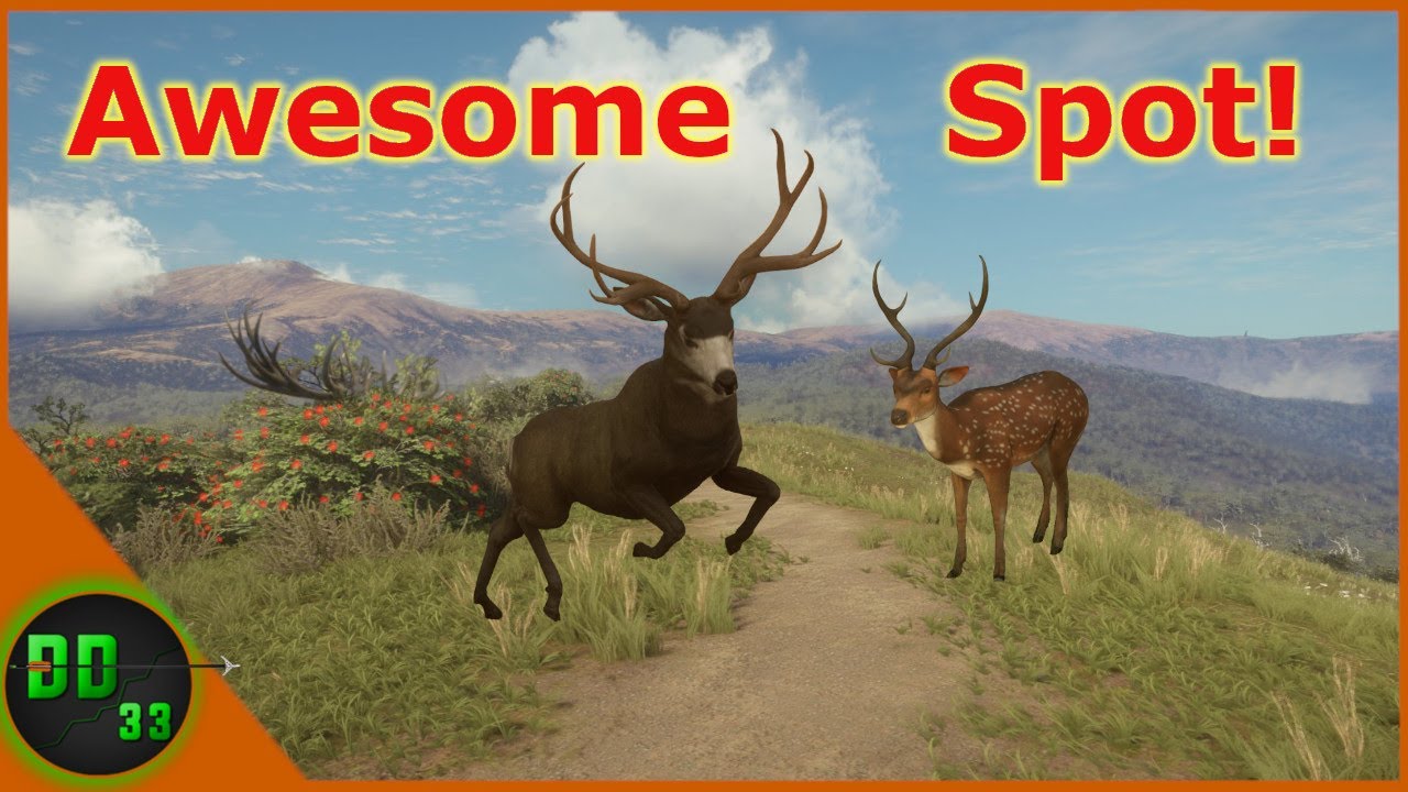 I Found an Incredible Spot for Mule, Axis and Red Deer! Call Of The Wild