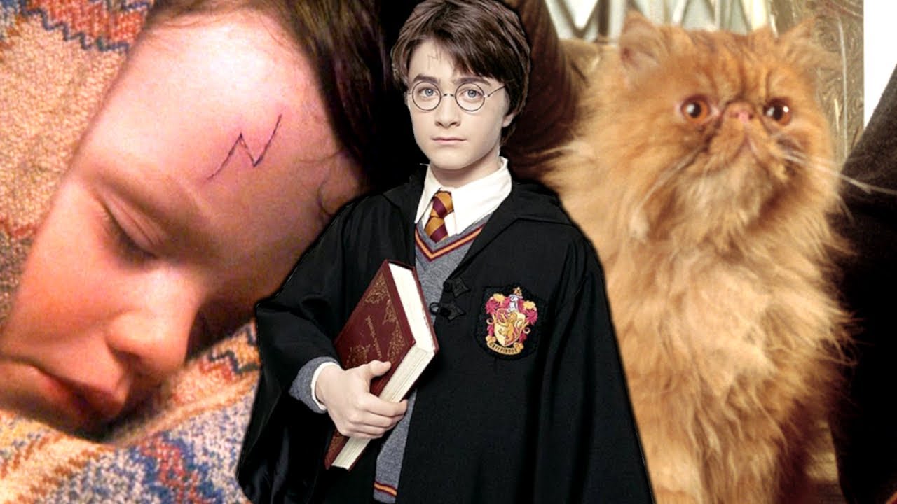 KRUMMBEIN war die KATZE von HARRY POTTER?! 😱