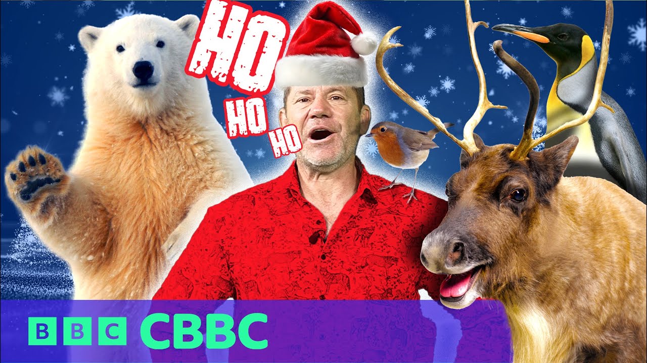 Guess the Christmas Animals! 🐾 ❄️🎄| Deadly 60 | CBBC