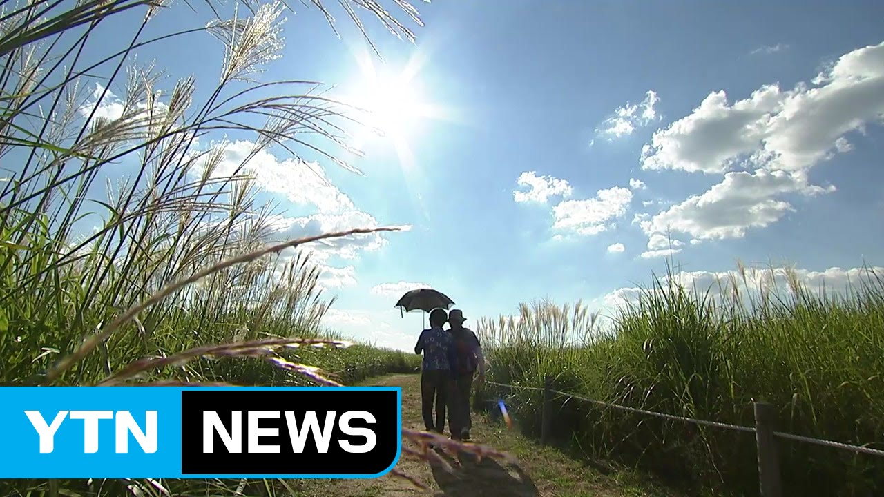 [날씨] 내륙 태풍 영향권 벗어나...동해상 태풍특보 / YTN (Yes! Top News)