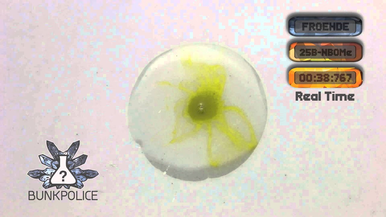 25B-NBOMe - Froehde Reagent - Normal Test Kit - Bunk Police
