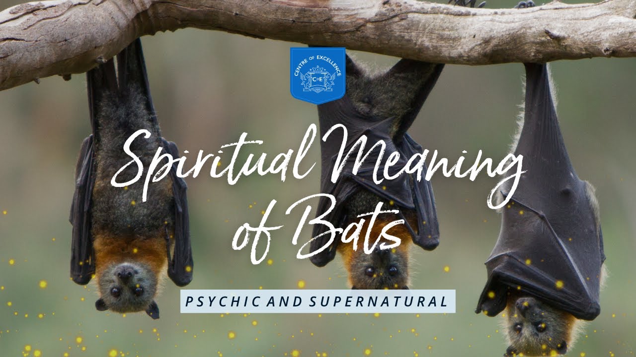 The Spiritual Meaning of Bats 🦇✨