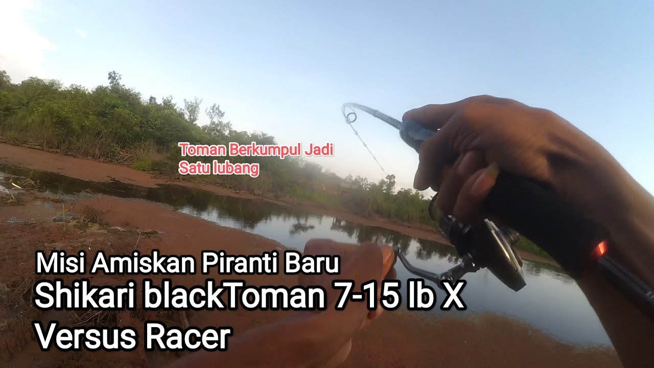 tes Shikari Black Toman 7-15 lb untuk narik toman X versus racer 2000hg