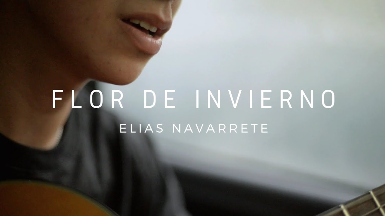 FLOR DE INVIERNO (Fede Toledo) - Elias Navarrete