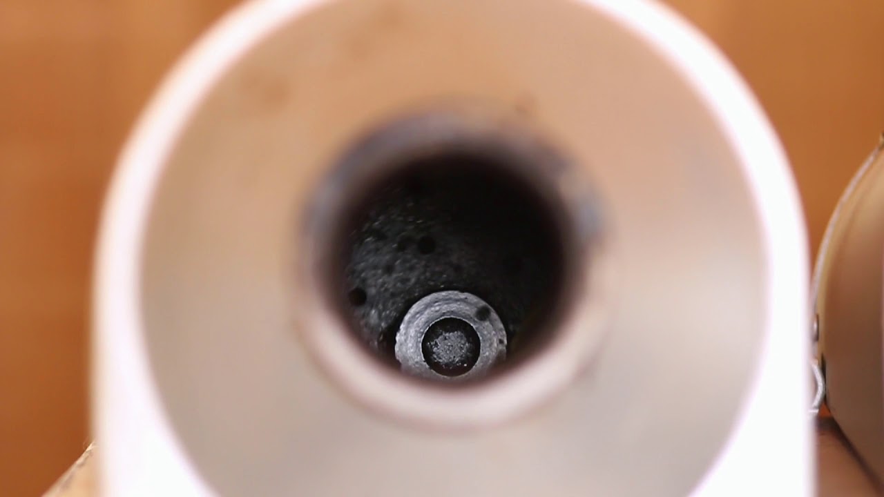 ALL SEASONS COFFEE TOUR SHORT