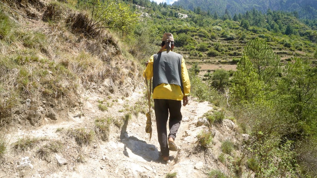 dharme brother is collecting firewood to cook food in the village || rural Nepal || village life ||