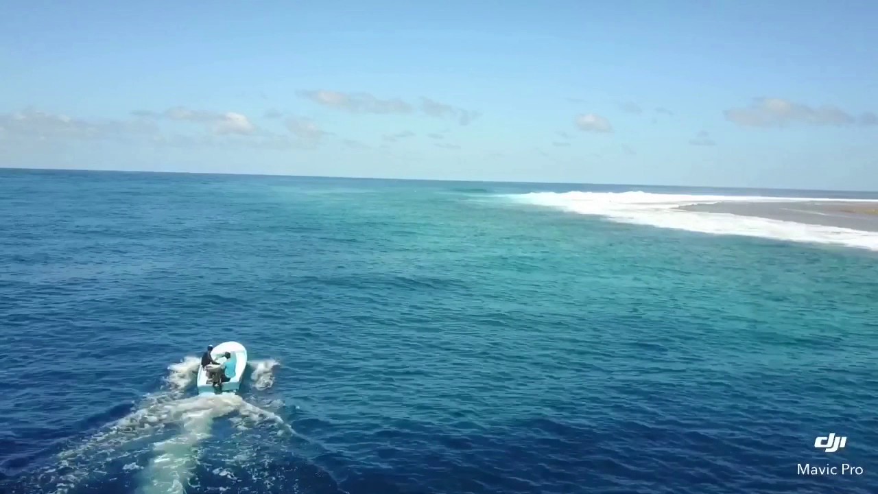 MALDIVE GAAFU ATOLL 2017 Daisuke Imamura
