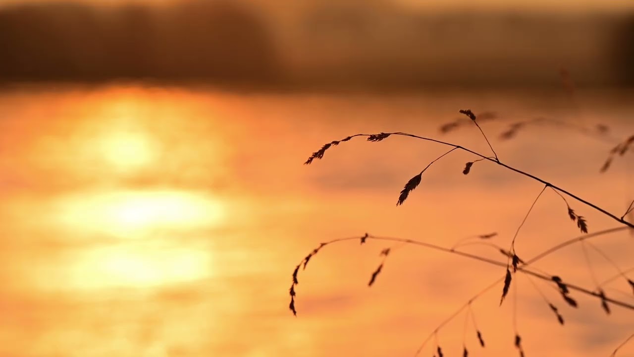 2H Golden Sunset Wind for Focus & Sleep | Calm Nature Sounds | No Talking, No Music