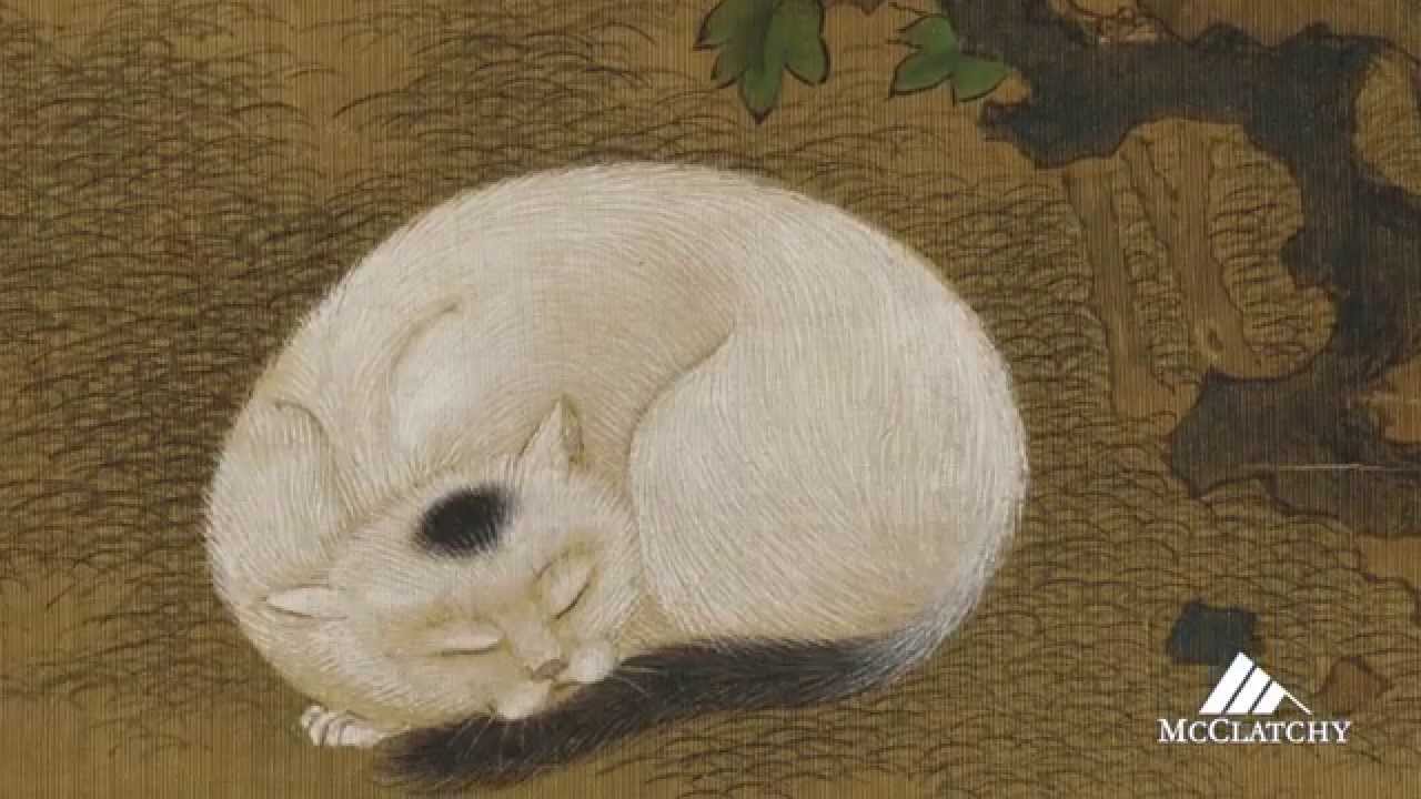 Frolicking Asian cats at the Freer Gallery of Art