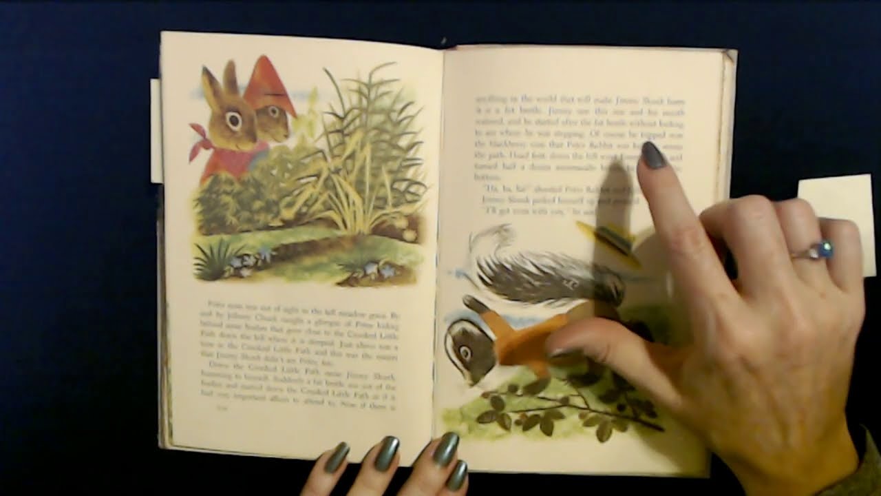 ASMR | Reading a Sleepy Bedtime Story (Soft Spoken)