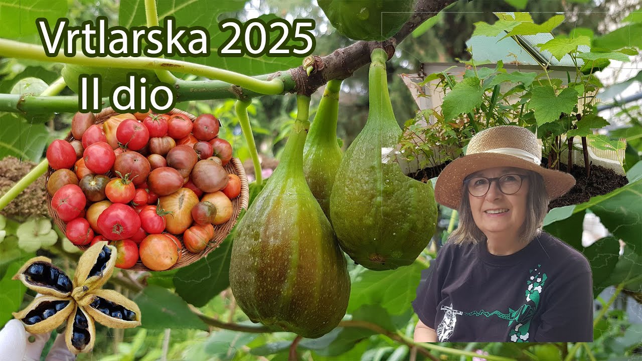 Vrtlarska 2025 od jula do decembra / Sjetva, berba, radovi