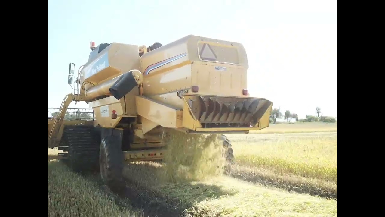 Newholland tc56 rice #portugal