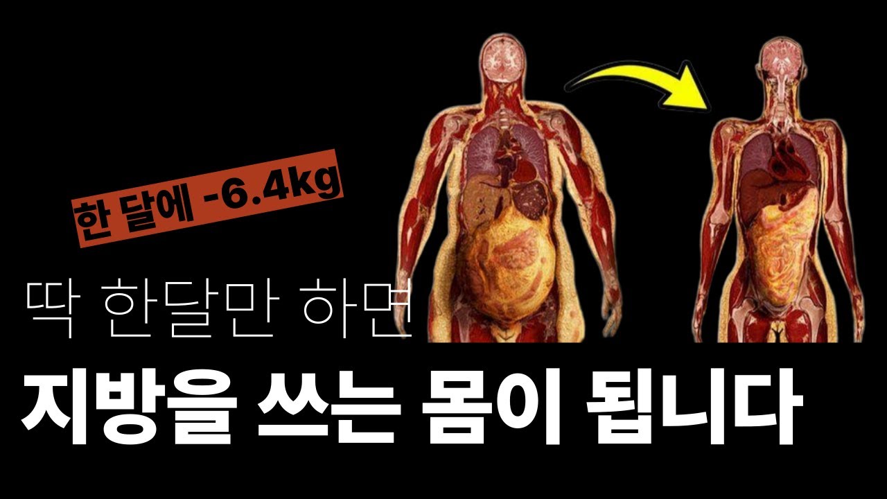한 달에 -6.4kg | 과학적으로 검증된 굶지 않고 3개월에 13.6kg 식단 | 전 세계 1위 병원에서 만든 다이어트 식단