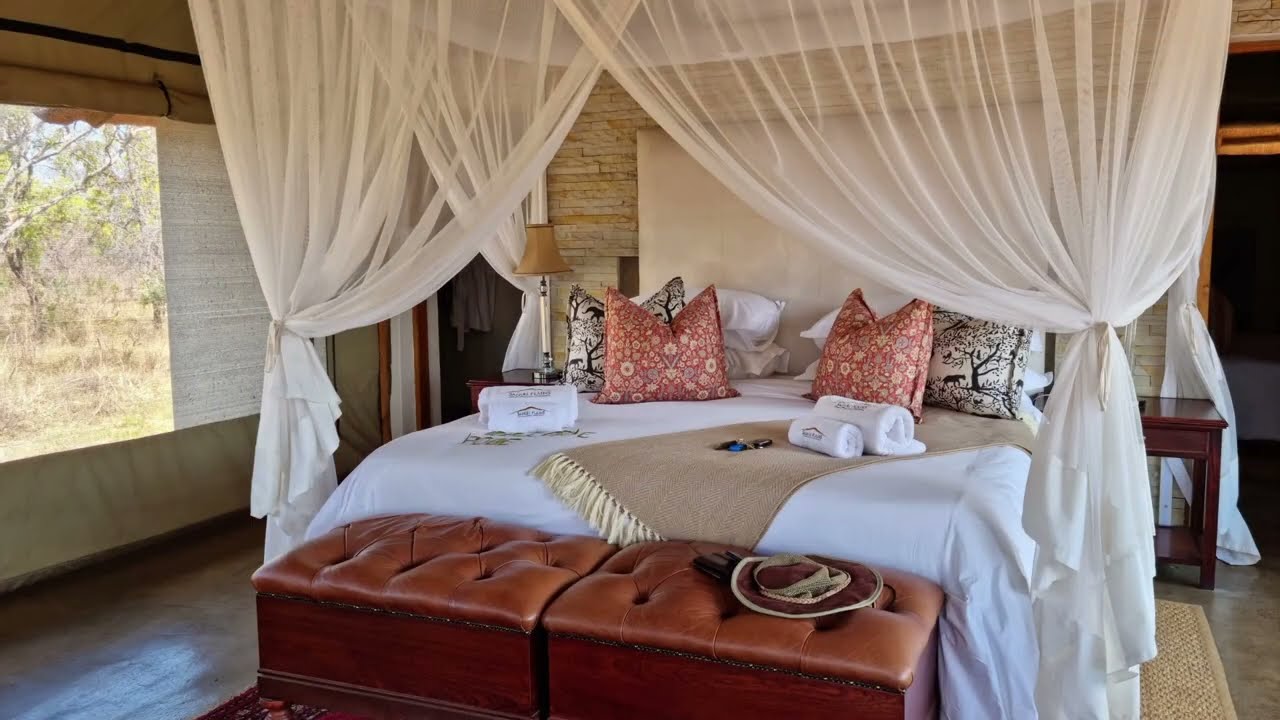 Our trip to Safari Plains - Mabula, South Africa