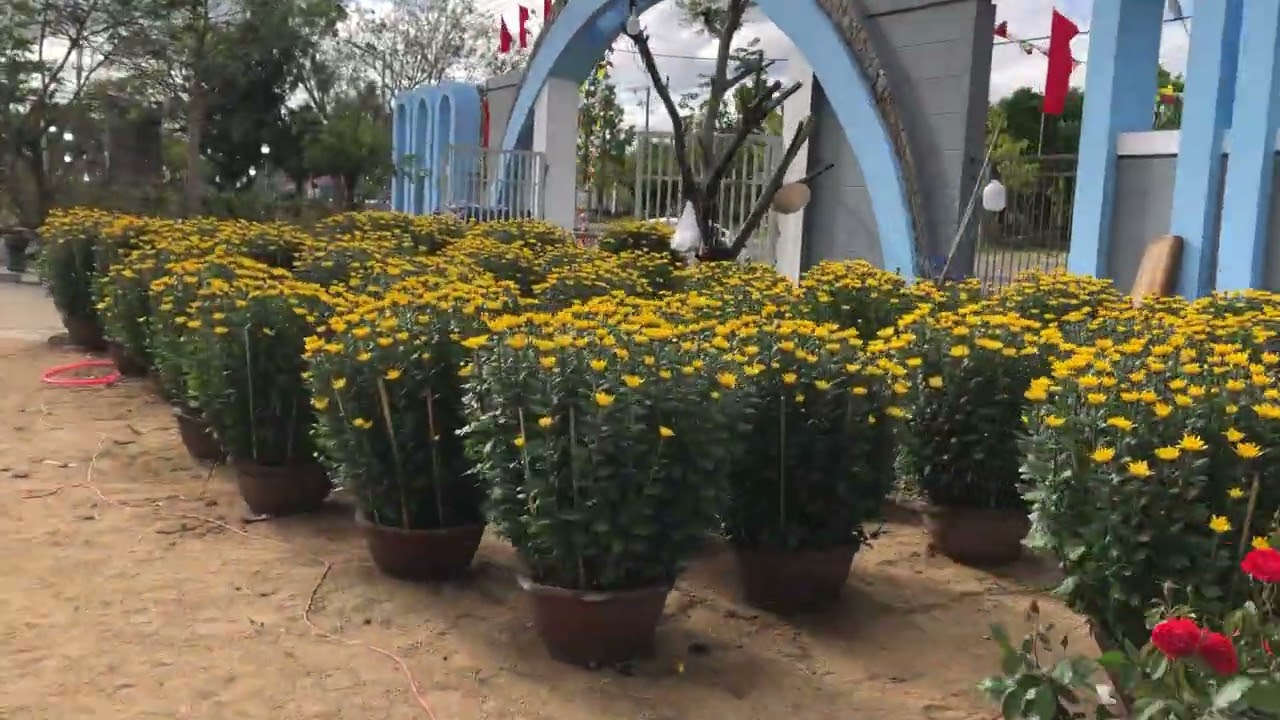 Ninh Sơn giáp tết Bính Ngọ 2026, Khánh Hoà   ngày 14 tháng 2, 2026