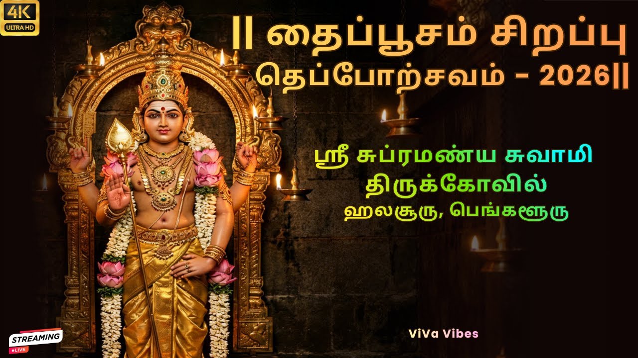 🔱 தைப்பூசம் சிறப்பு 2026 | தெப்போற்சவம் | ஸ்ரீ சுப்ரமண்ய சுவாமி திருக்கோவில் | பெங்களூரு #murugan