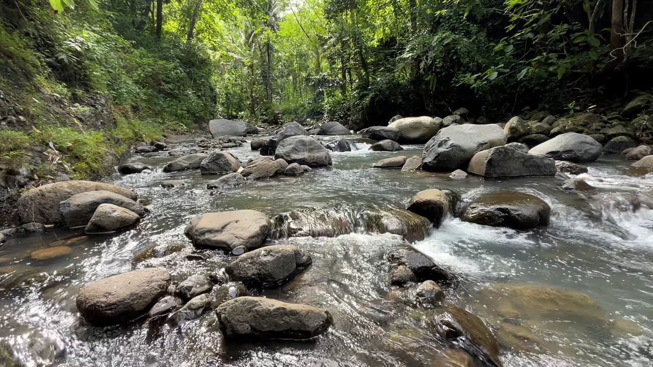 Relaxing River Stream Sounds 🌿 Deep Sleep Water Noise for Insomnia & Mental Peace
