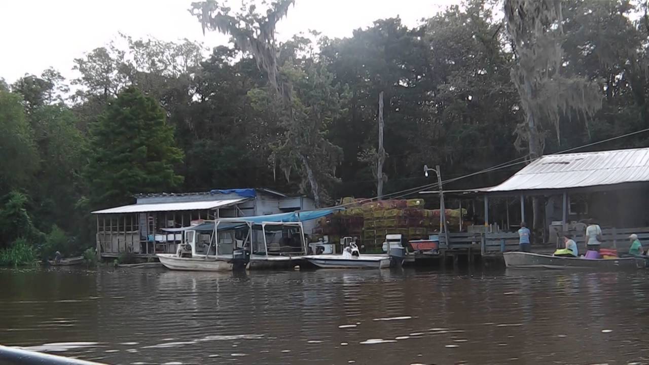 Swamp houses in New Orleans.