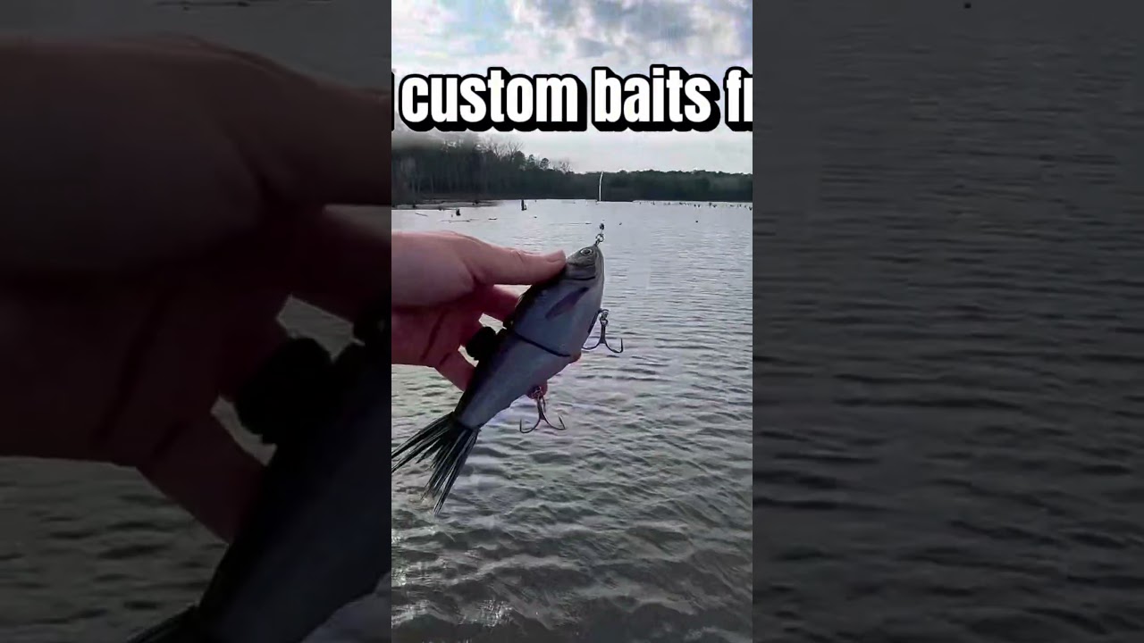 Glide baits and frogs only‼️ go watch the new video out now🎣 #bassfishing #fyp #outdoors #glidebait
