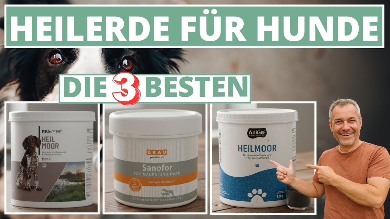 Heilerde für Hunde - Die 3 Besten Heilmoor-Produkte!