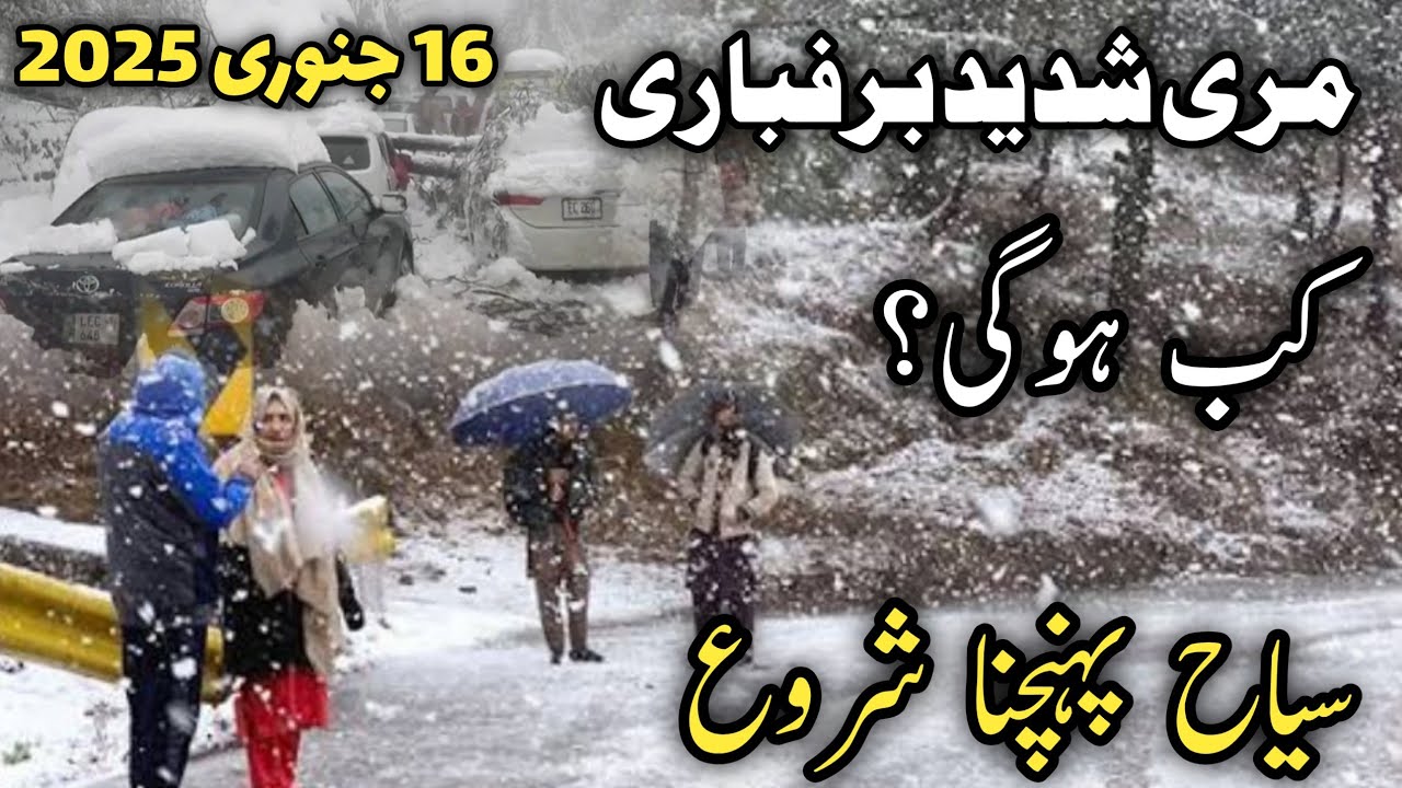 murree live | #murree nathiagali latest update | murree today snowfall | مری برفباری