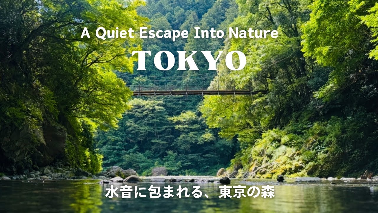 Quiet Forest Escape Near Tokyo | Easy Nature Walk in Okutama