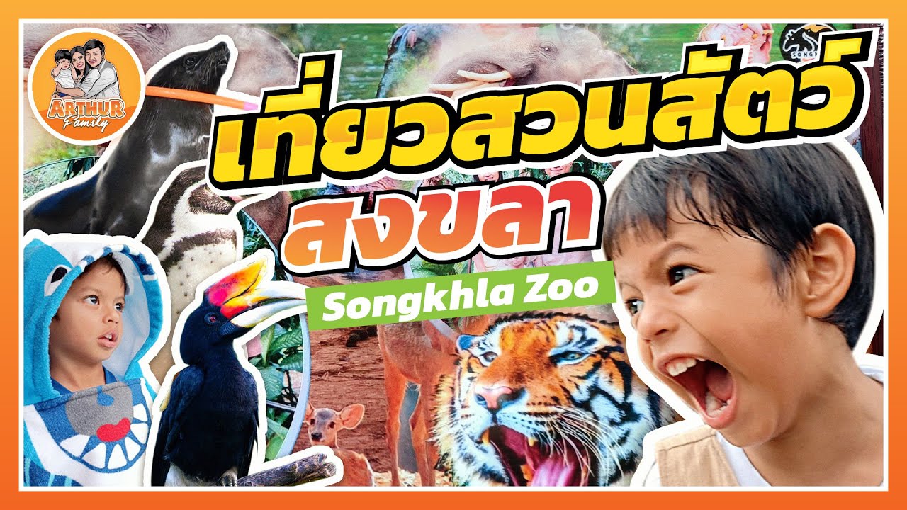 เที่ยวสวนสัตว์สงขลา (Songkhla Zoo & The Bed Vacation Hotel)  | อาเธอร์แฟมิลี่