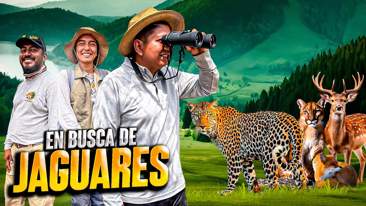 ¡En busca de JAGUARES en la SIERRA de Guerrero! Vlog - Documental.