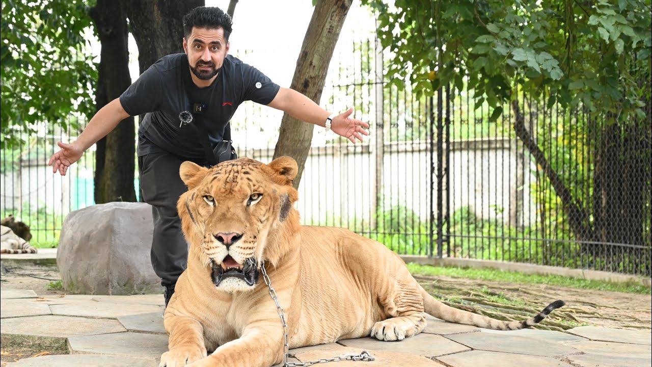 ترسناکترین شوێن ئیمزای مردنمان کرد پێش چونە ژورەوە/ The most dangerous place to visit in Thailand