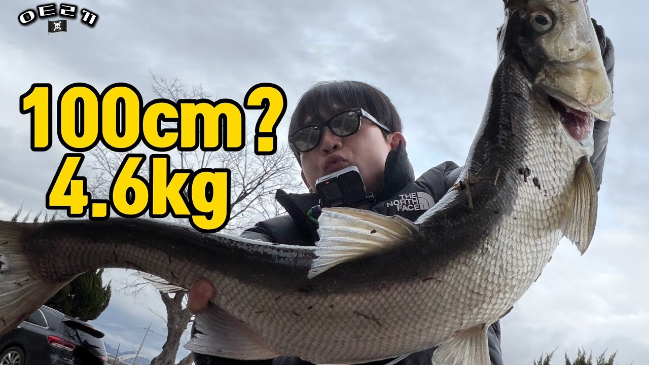 레코드 물고기 잡는 방법 + 겨울 배스. [원태르꾸]