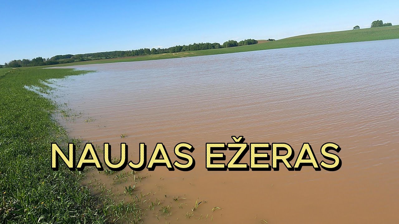 EkoŪkis #76 Baisios liūtis.Veršelių auginimas.
