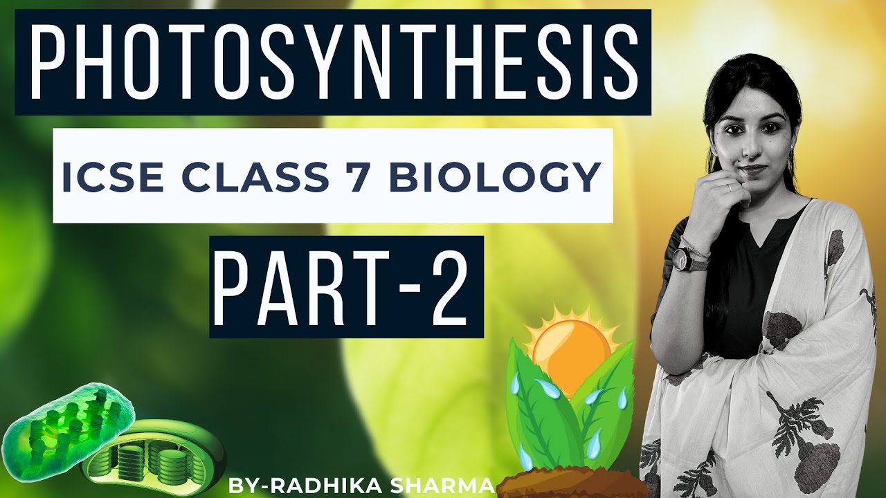 Photosynthesis | ICSE Class 7 Biology | Part - 2