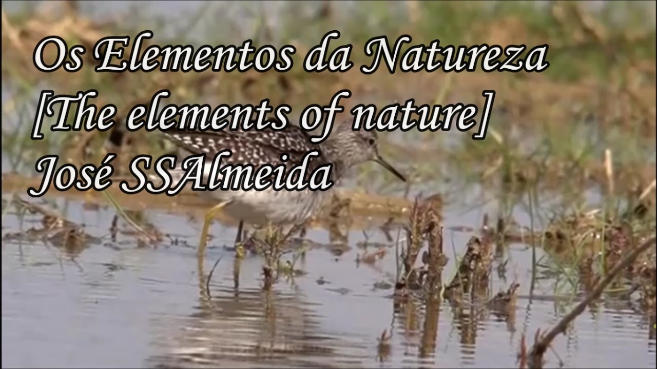 Os Elementos da Natureza! Narrado