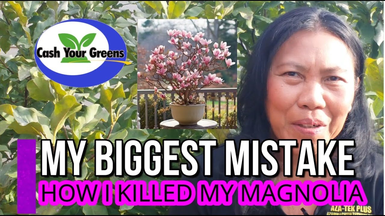 Watch How I Accidentally Killed My Plants: The Ultimate Gardening Fail!
