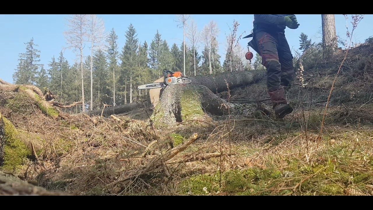 Work in forest,práce v lese stihl ms400c