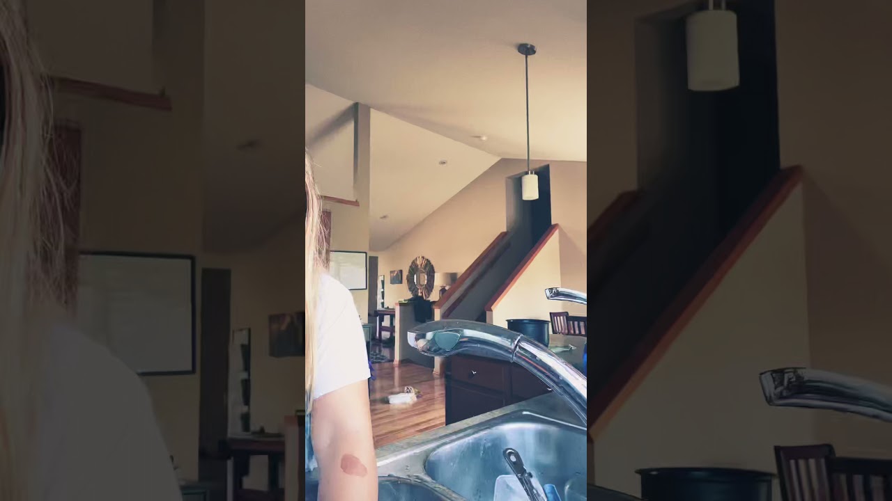 Kitchen cleaning Time lapse
