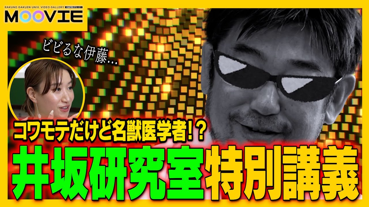 コワモテだけど名医！？動物の命を救う井坂研究室に潜入！